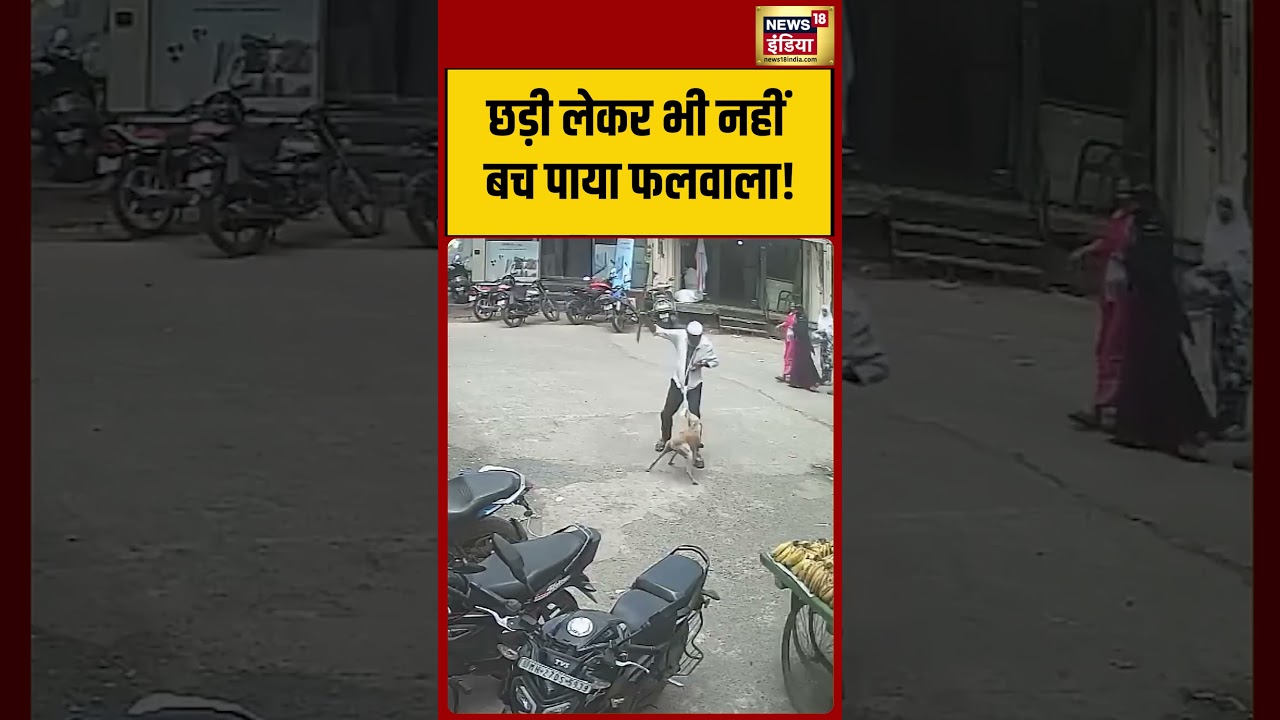 छड़ी लेकर भी नहीं बच पाया फलवाला! #shorts #viralvideo #viralnews #news #shortvideo #video #reel #fyp