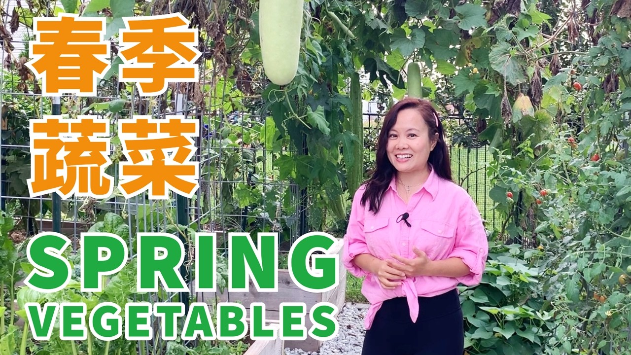 春季种什么菜？这8种现在种，吃到整个夏天 | 8 Vegetables to Plant in Spring for Non-Stop Harvest All Summer