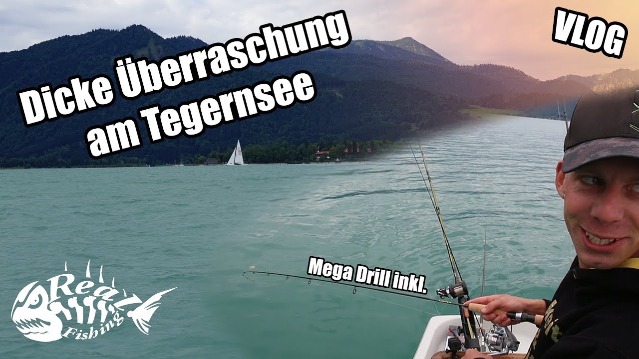 Dicke Überraschung am Tegernsee // Auf der Suche nach Renke und Hecht - VLOG