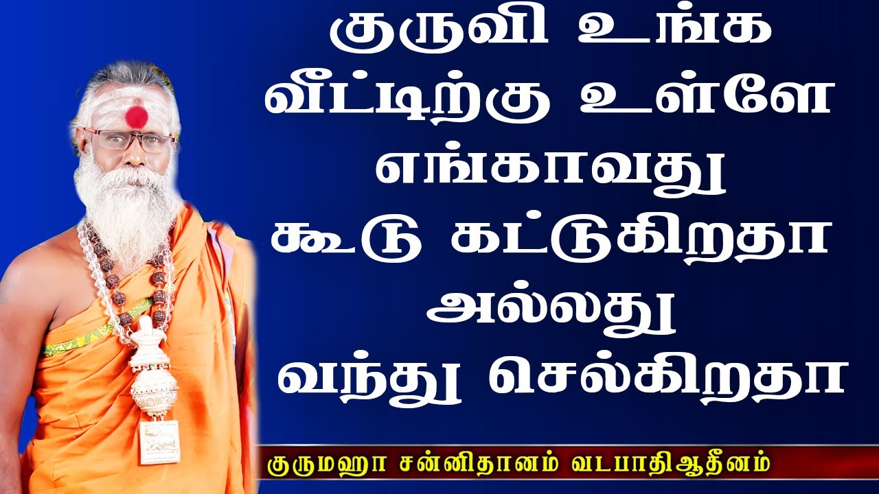 இதெல்லாம் ஒரு விஷயமா என்று தானே நினைக்கிறீர்கள் முக்கியம் மிக மிக முக்கியமான விஷயம் இது? | Aanmeegam