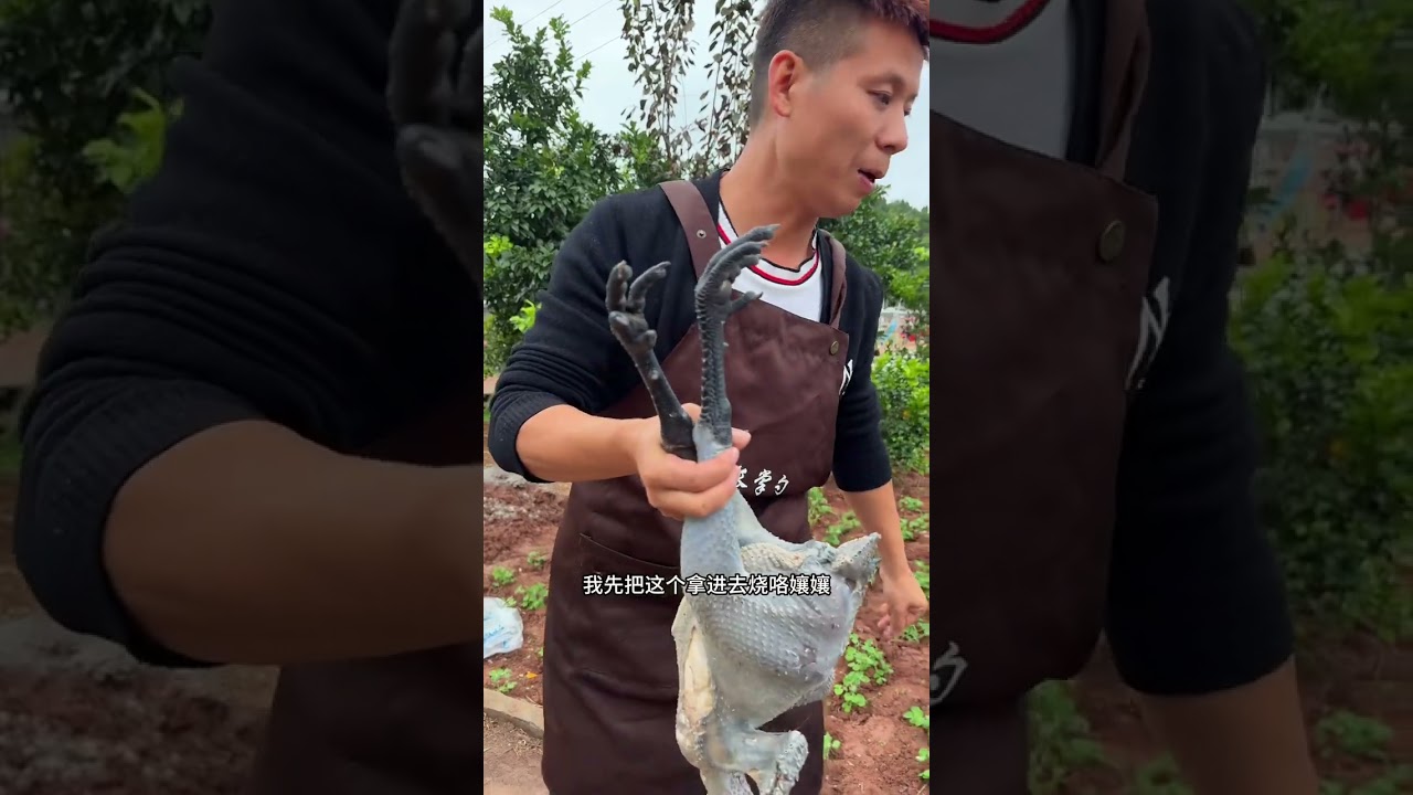 朋友自己喂的鸡卖得了给我寄了两只来，叫上夏叔叔他们一起尝味道，味道简直不摆了！#我的乡村生活 #美食 #家庭日常