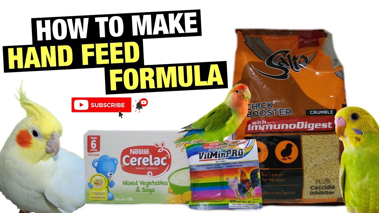 HOW TO MAKE HAND FEED FORMULA FOR BABY BIRDS