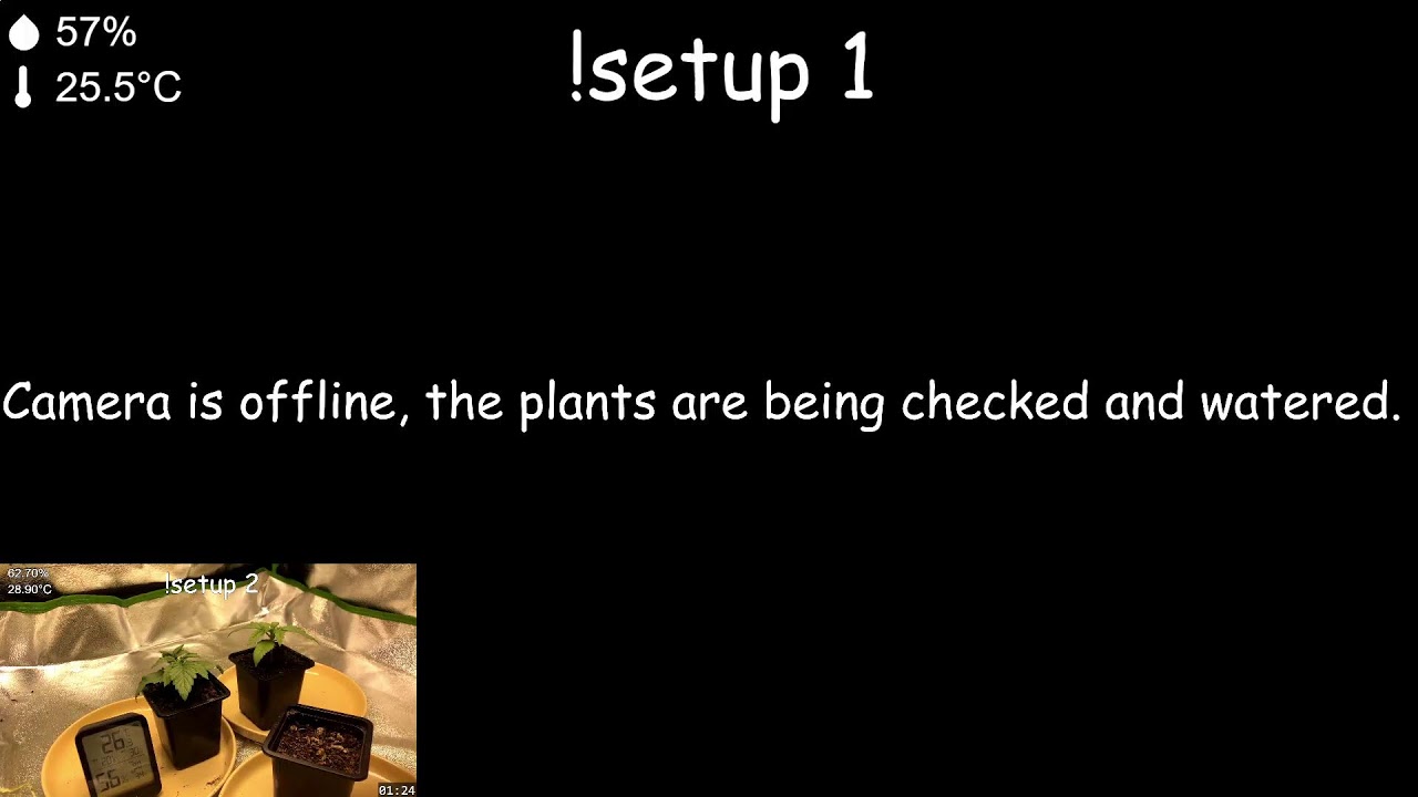 GrowWEED Any% Speedrun