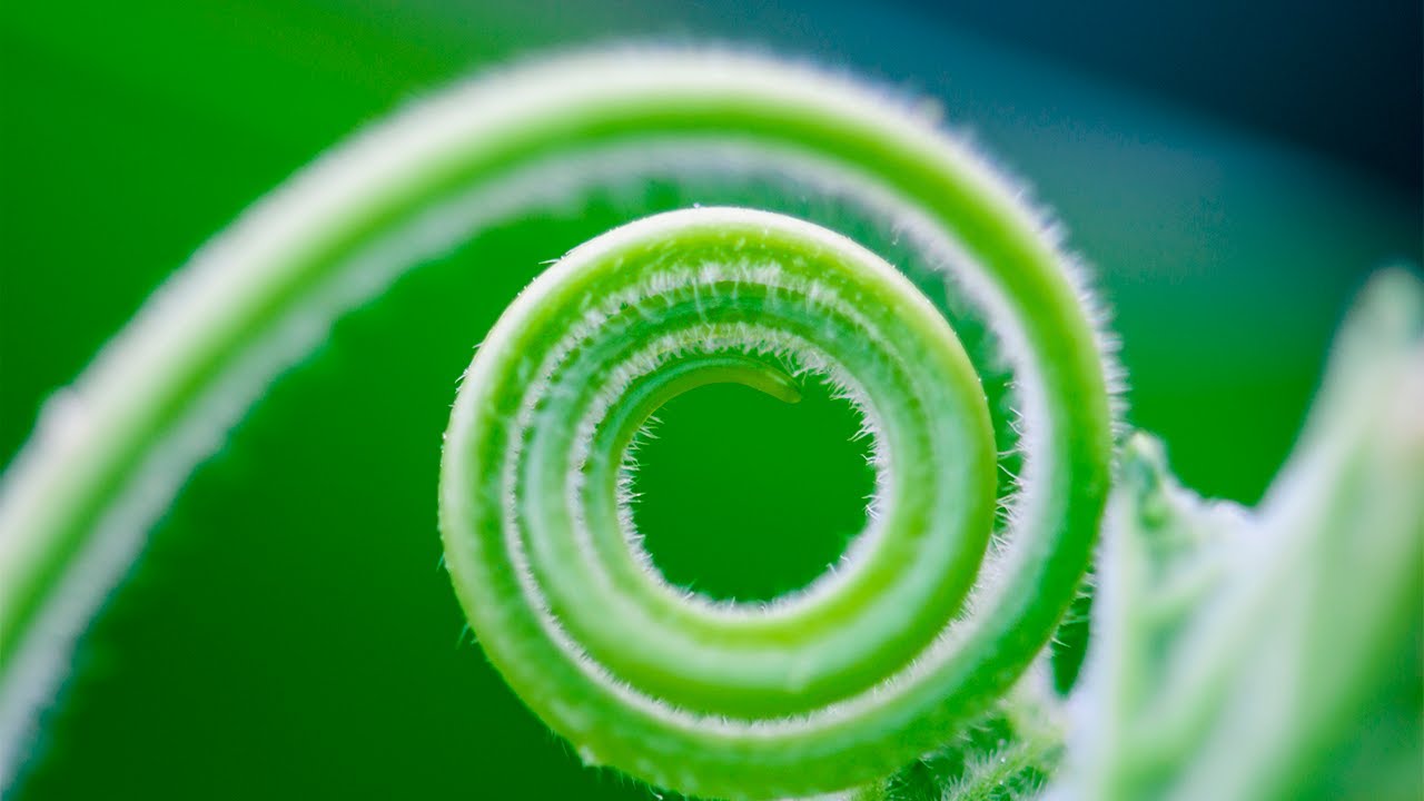 Révision des ESRS : un nouveau jalon avec l’avis de l’EFRAG [Radio KPMG]