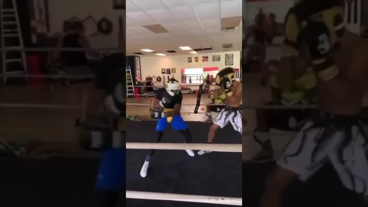 Boxing Sparring KO from Feint Signal #BINK