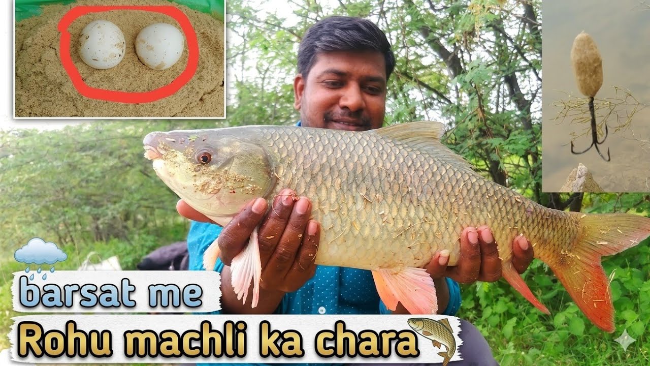 बरसात में मछली पकड़ने का तरीका |Fishing in The Rain | Rohu Fish Bait |Fishing Vlogger | River fishing