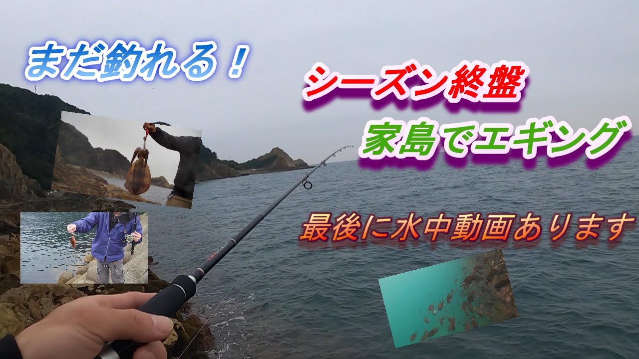 【エギング】家島でアオリイカ狙い
