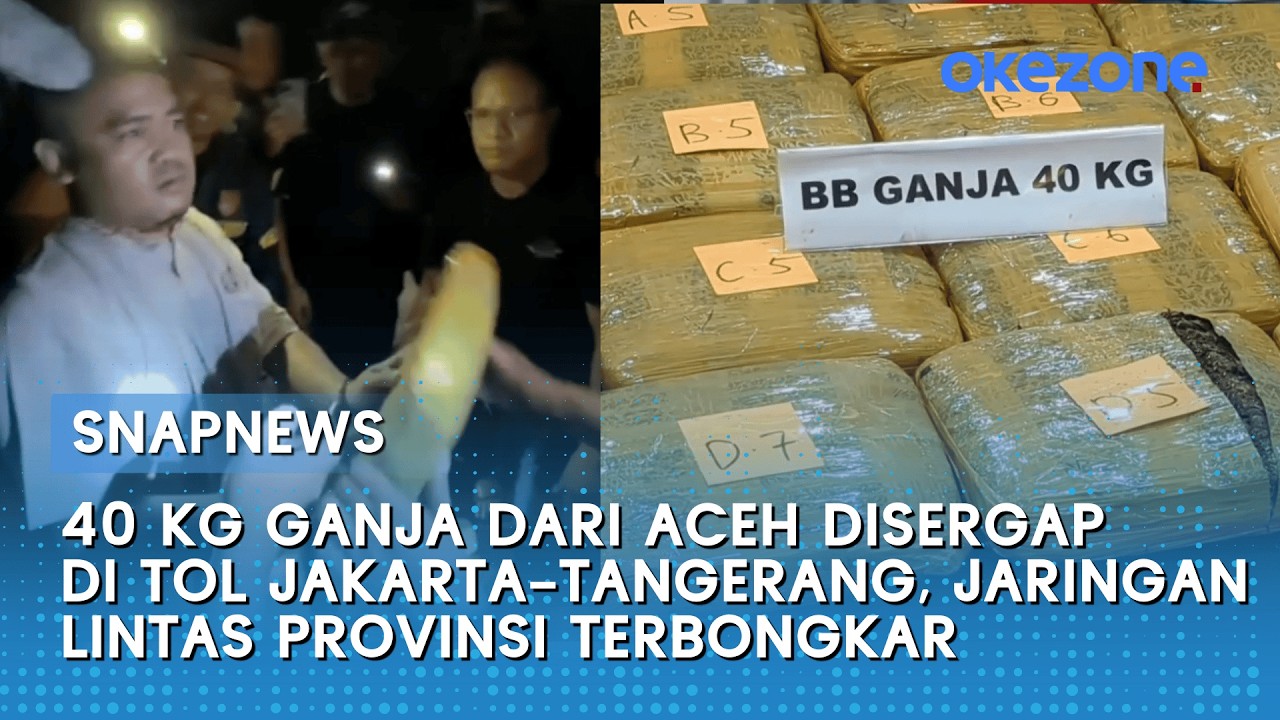 40 Kg Ganja dari Aceh Disergap di Tol Jakarta–Tangerang, Jaringan Lintas Provinsi Terbongkar