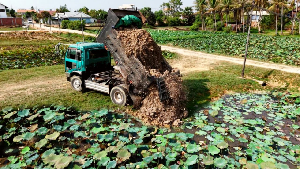 Start A New Complete PROJECT! 5 Ton Dump Truck Overloading Soil& Bulldozer KOMATSU D20P Pushing Soil