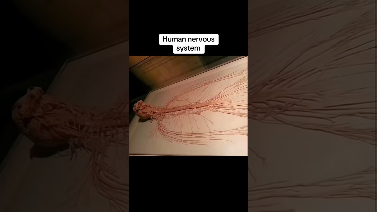 Фотографии, которые вы должны увидеть перед смертью😳 #шорты