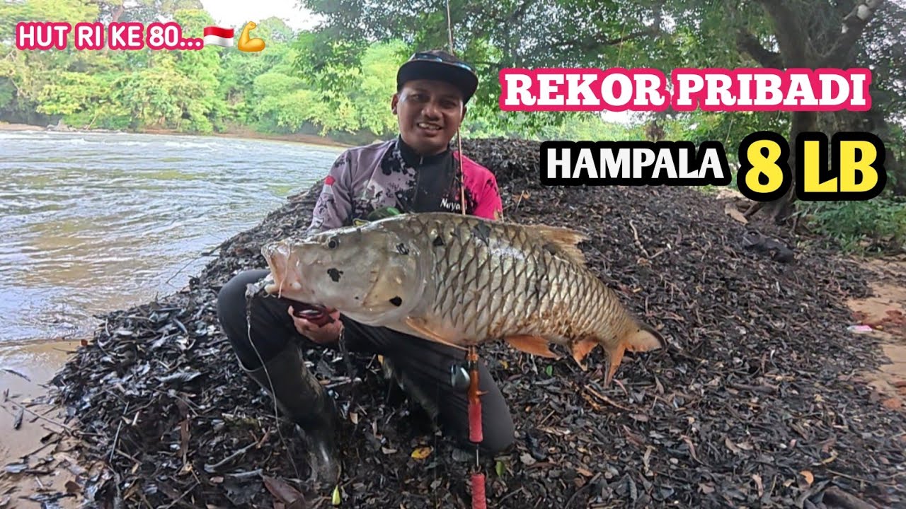 PECAH REKOR..‼️ CASTING HAMPALA SUPER JUMBO DI MOMEN HUT RI KE 80 TAHUN.