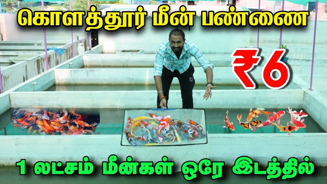 எல்லாமே ஒரே இடத்தில் வாங்கலாம் | ₹6 முதல்| Payasam Channel