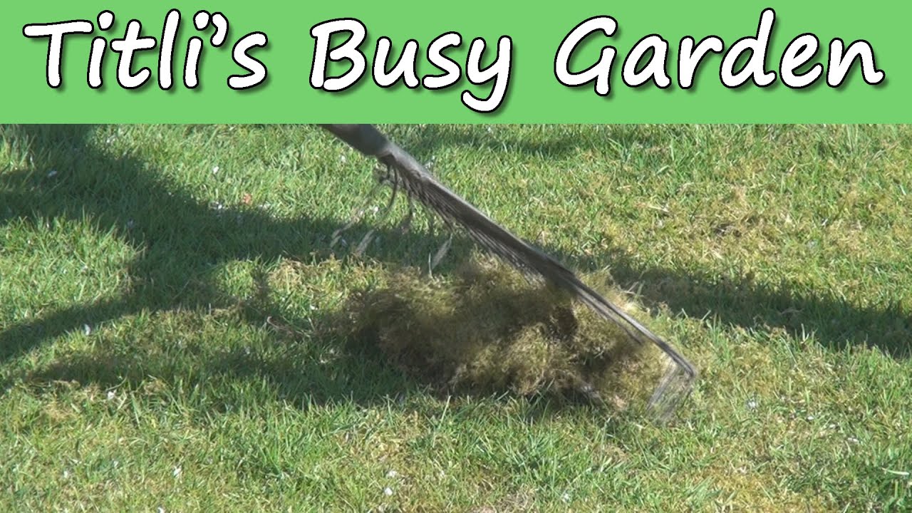 Moss & Dandelions - Titli's Busy Garden 2015 Episode 05