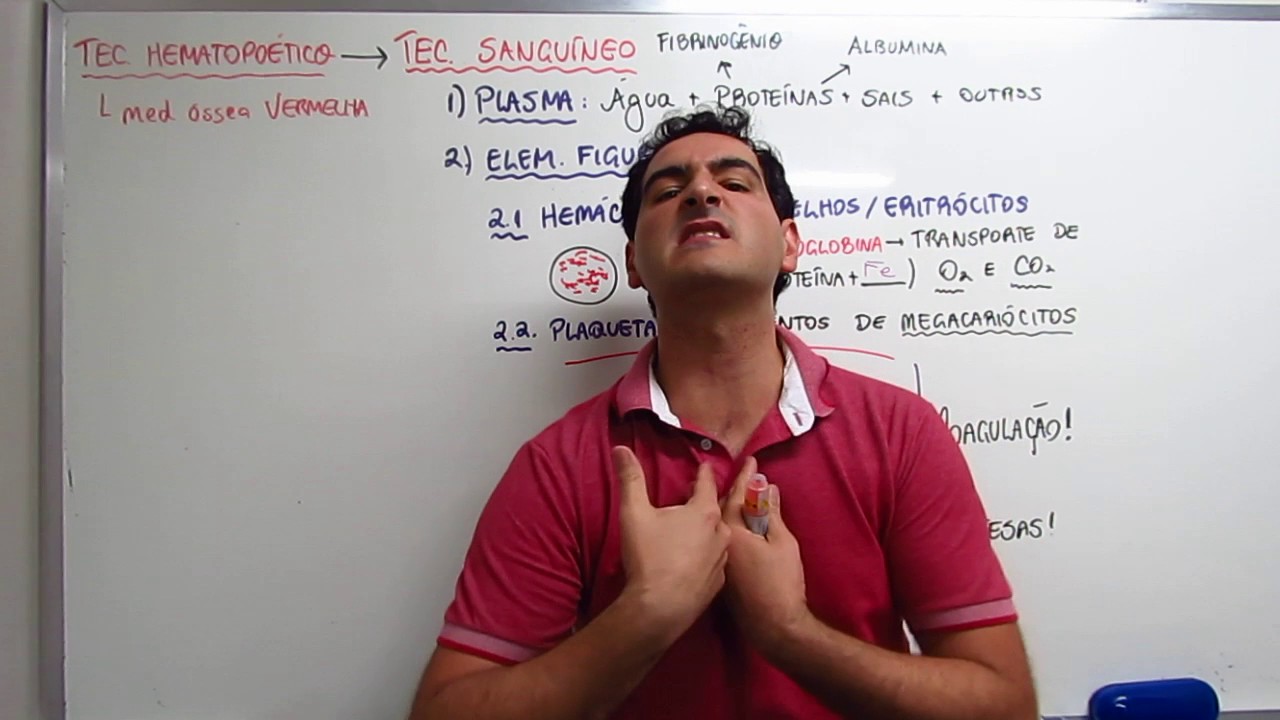 Tecido sanguíneo - Prof. Sanabria