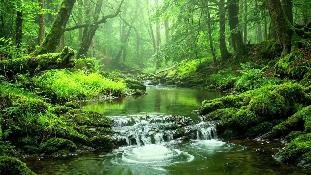 Nature Ambience for Sleep, Mountain Stream and Birds Singing, Ten Hours of Calm Relaxing ASMR