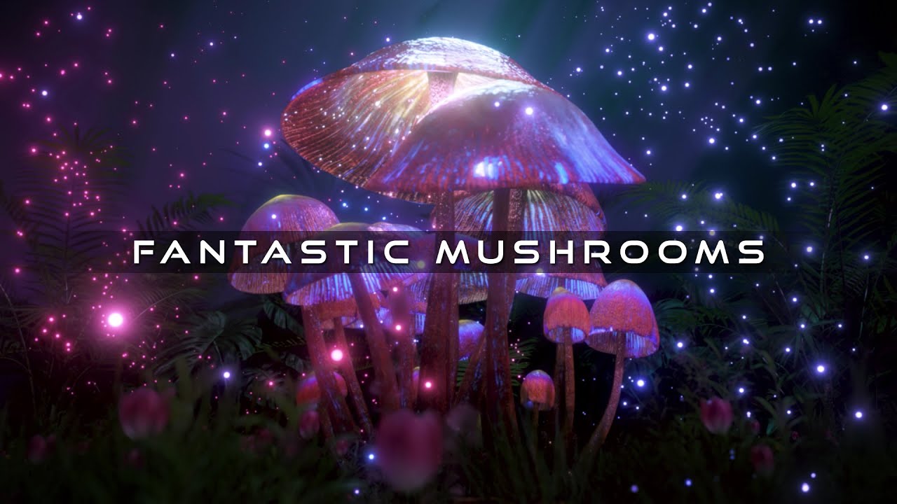 Fantastic Mushrooms || Magic Visuals
