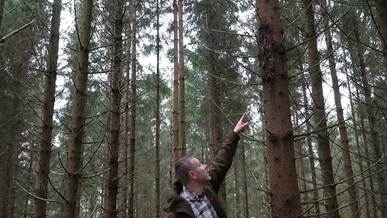 Reportage gruppe 1  skovfoged