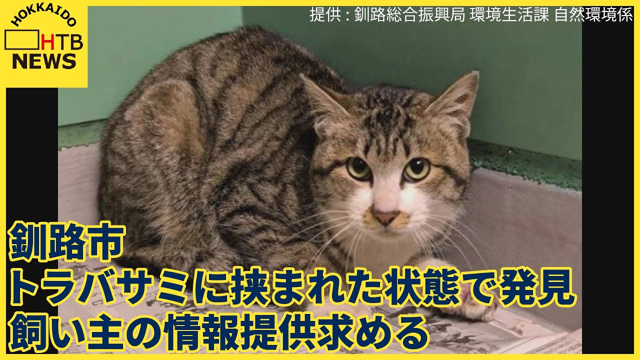 飼い主の情報提供呼びかけ　トラバサミにはさまれ足にケガしたネコ　警察官が保護　保健所に収容　釧路市