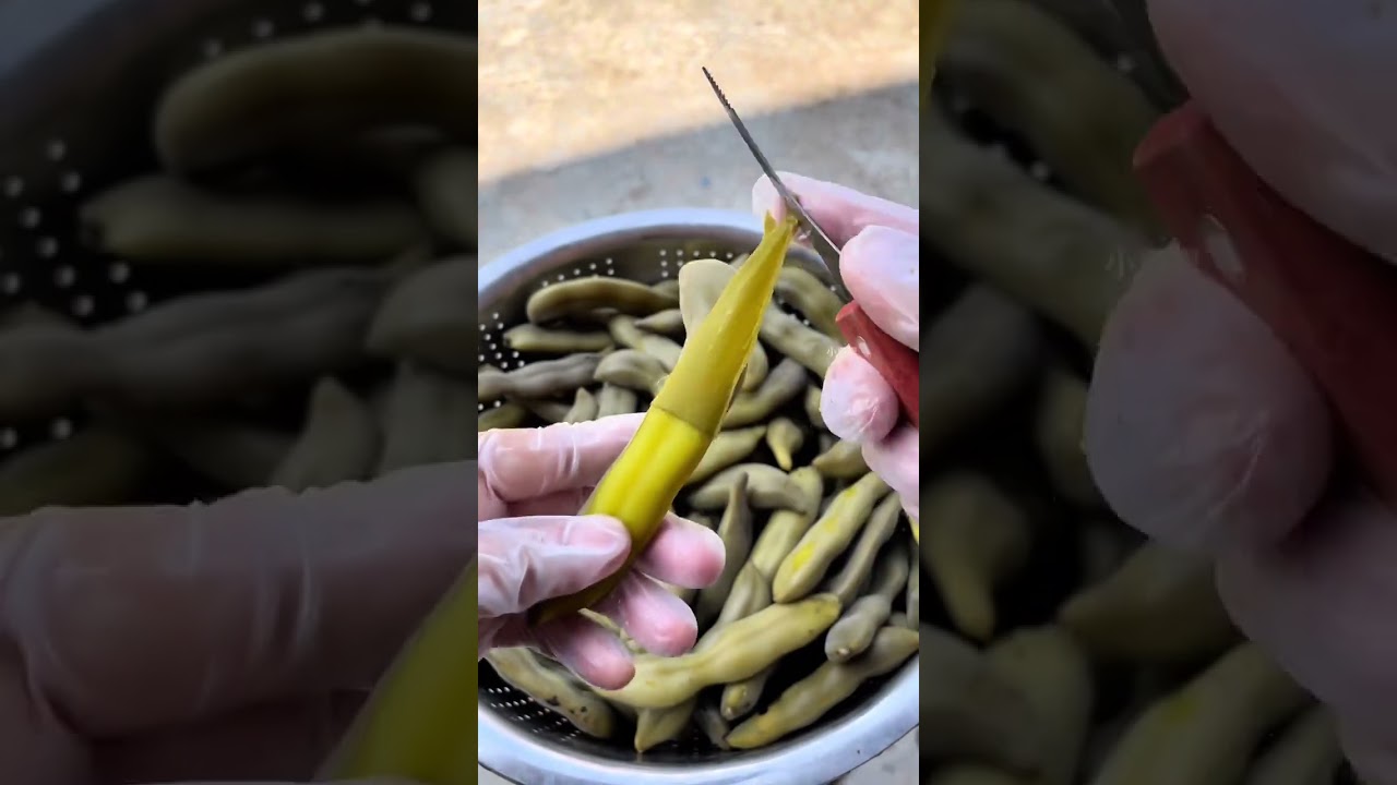 Intco PVC disposable gloves ready to use super convenient Food-grade material it won t sti