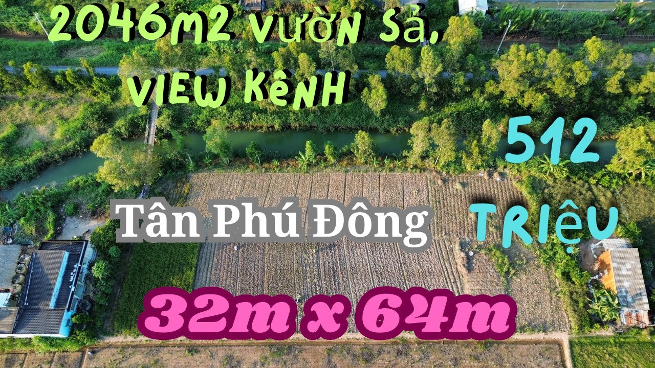 MS1976: Hết đất 512 triệu, 2046m2 vườn sả view kênh Tân Phú Đông 