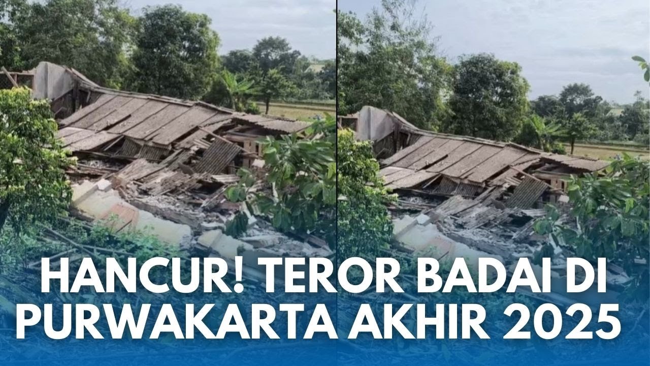 TEROR BADAI Purwakarta 2025! Kandang Sapi Rata Tanah, 25 Bangunan Ambruk!