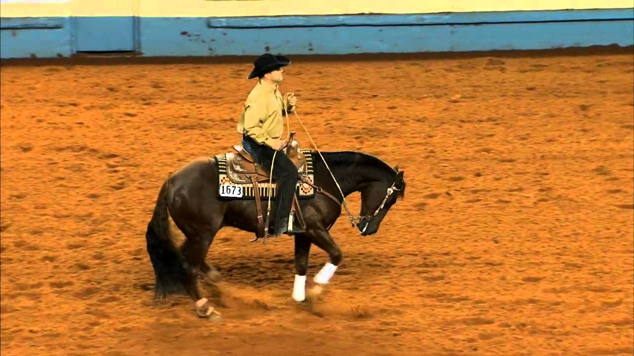 Working Cow Horse-Shawn Deal & Smooth As Tamulena