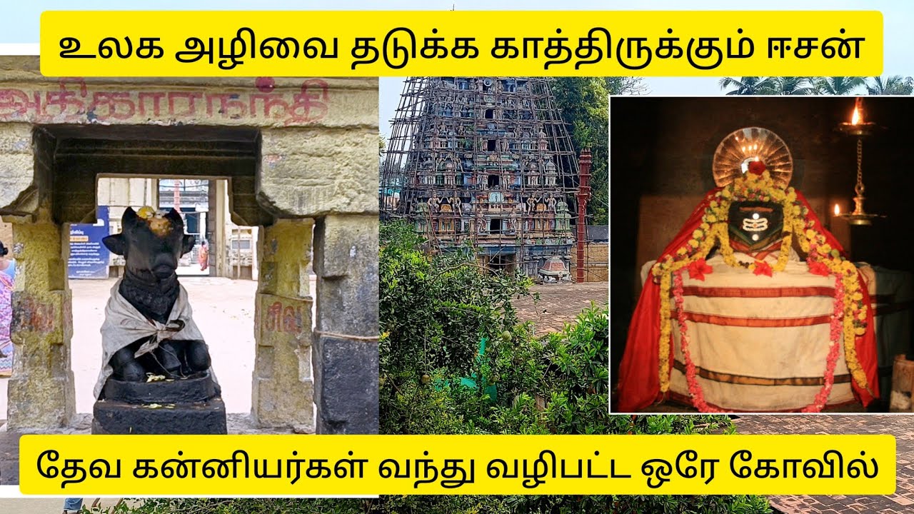 #பிரளயகாலேஸ்வரர் கோயில் #பெண்ணாகடம் கோயில்