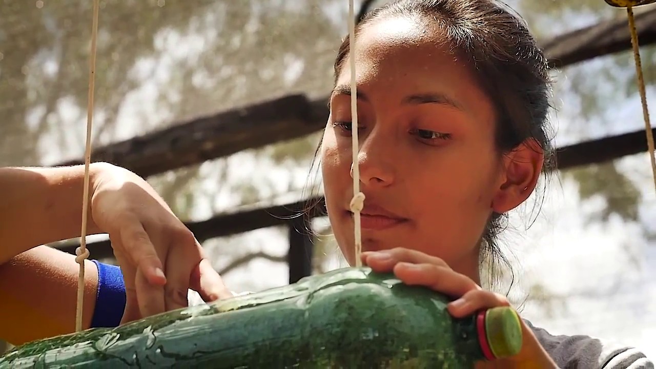Cultivando aprendizajes en huertos escolares (versión ampliada)