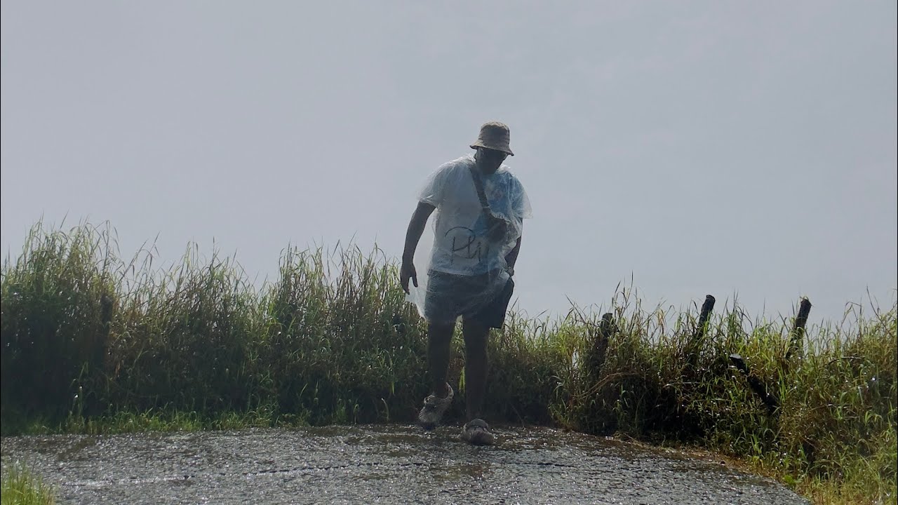 Standing Inside the Smoke That Thunders ⛈️ | Victoria Falls, Zimbabwe
