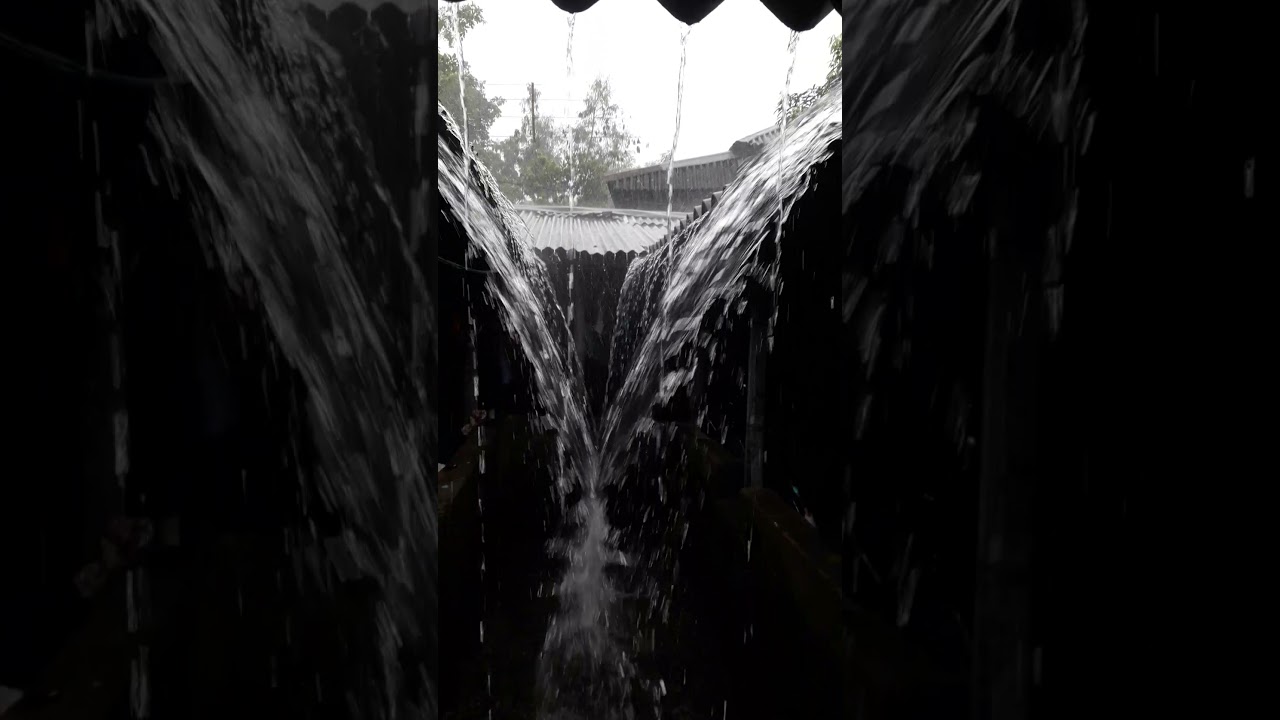Heavy rain /Mansun in west bengal #shorts