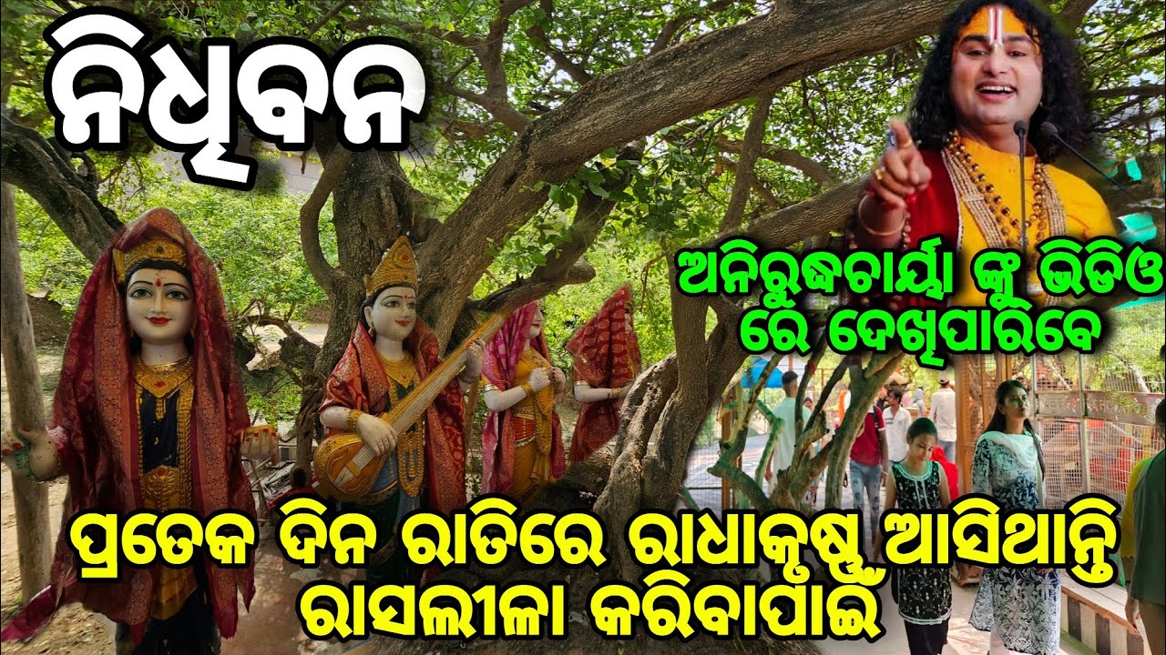 Nidhivan / Nidhivan vrindavan story / Gauri gopal vridhashram / ରାସଲୀଳା ଯିଏଦେଖିବ ତାର ମୃତ୍ୟୁହେବ 