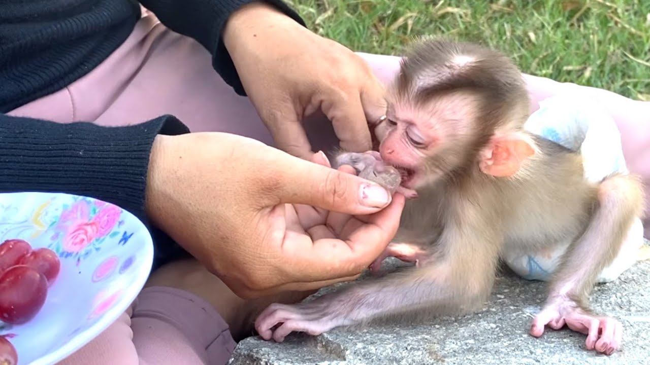 Wow!! Mom pulled her little LIORA's finger away and let her suck on the grape instead