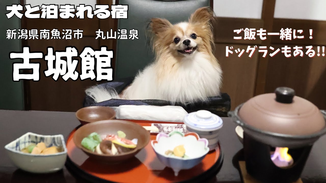 【犬と泊まれる宿】古城館・丸山温泉・新潟県