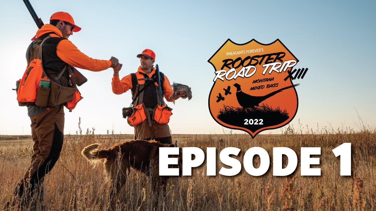 Rooster Road Trip XIII EP.1: Where the Pronghorn and Sharp-tailed Grouse Play