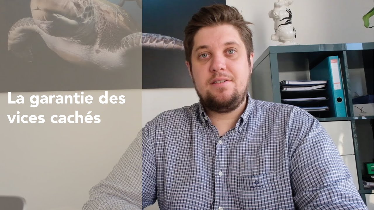 LA GARANTIE DES VICES CACH&Eacute;S