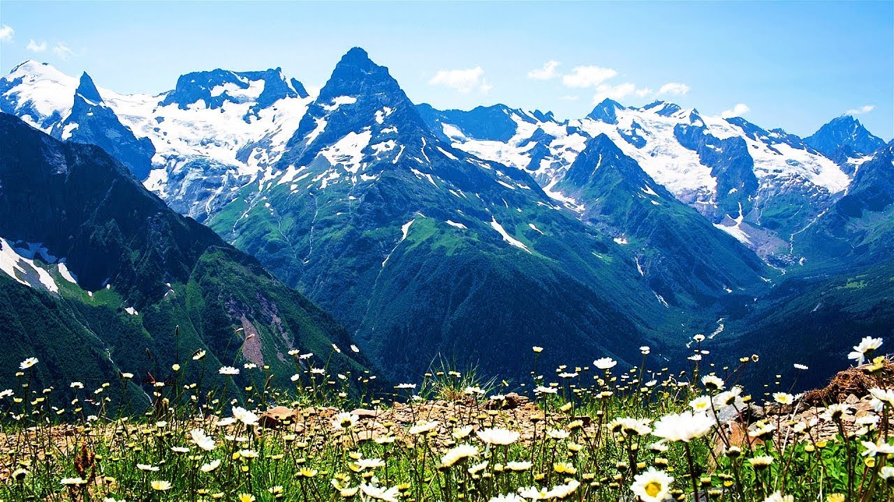Reduce Stress Instantly on a Beautiful Swiss Mountain Meadow | Relaxing Alpine Nature Sounds
