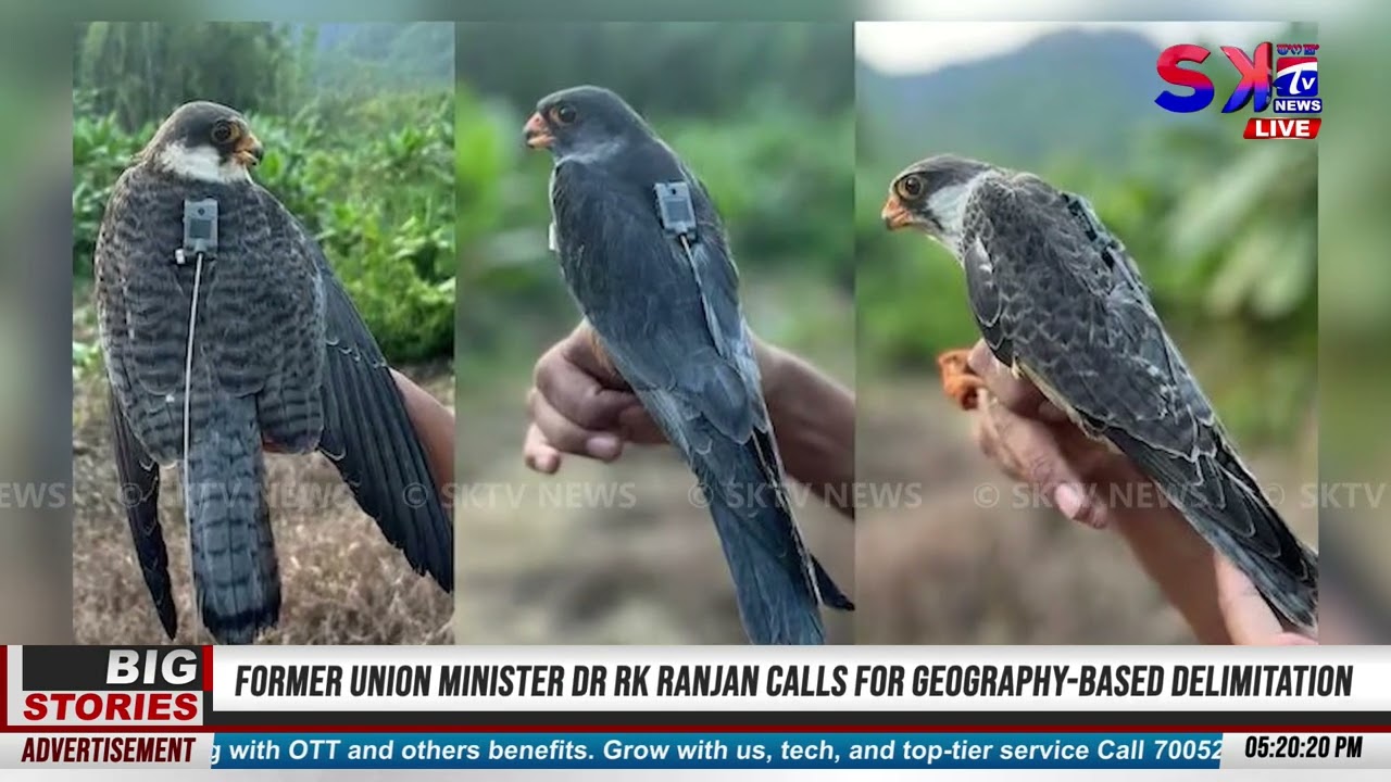 SATELLITE TRANSMITTER HAPLAGA THADOKKHIBA AMUR FALCON 3 AFRICADA NUNGAINA LEIRI HAIBA KHANGBA NGAMLE