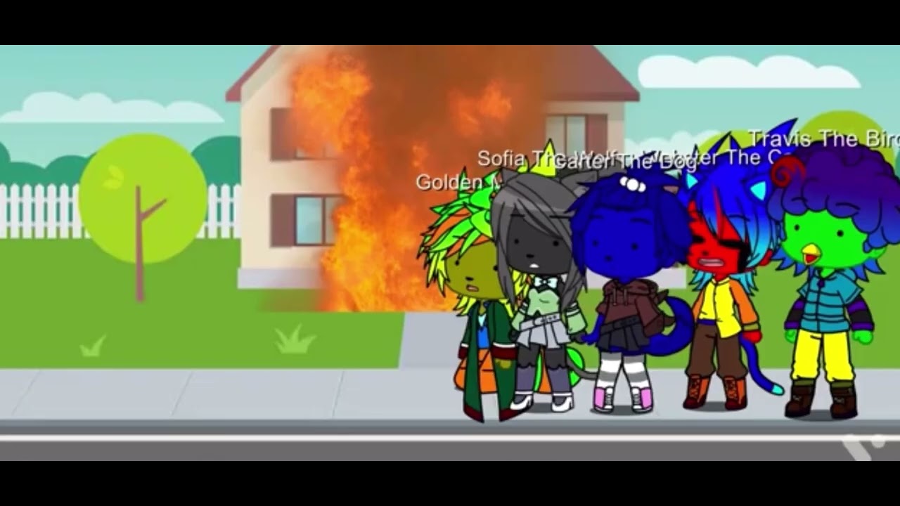 Webster the Cat Cooks but made a mistake