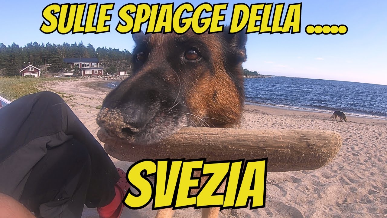 QUESTA SVEZIA continua a sorprenderci, sostiamo e pernottiamo in luoghi da favola