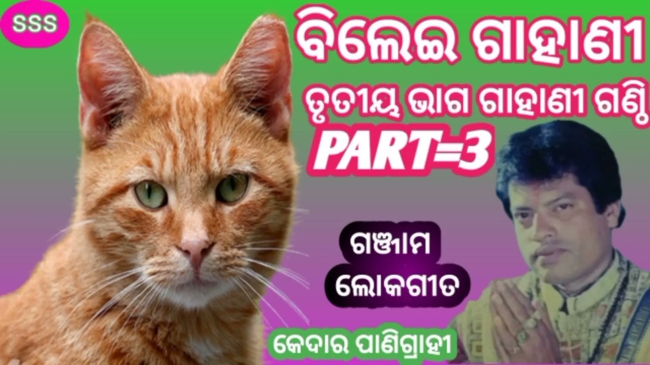 #BILEI GAHANI-PART-3-KEDAR PANIGRAHI SONG