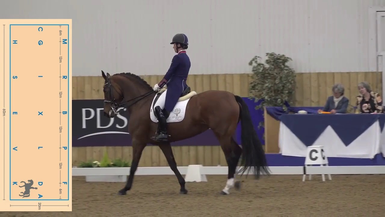 Práctica Prueba San Jorge