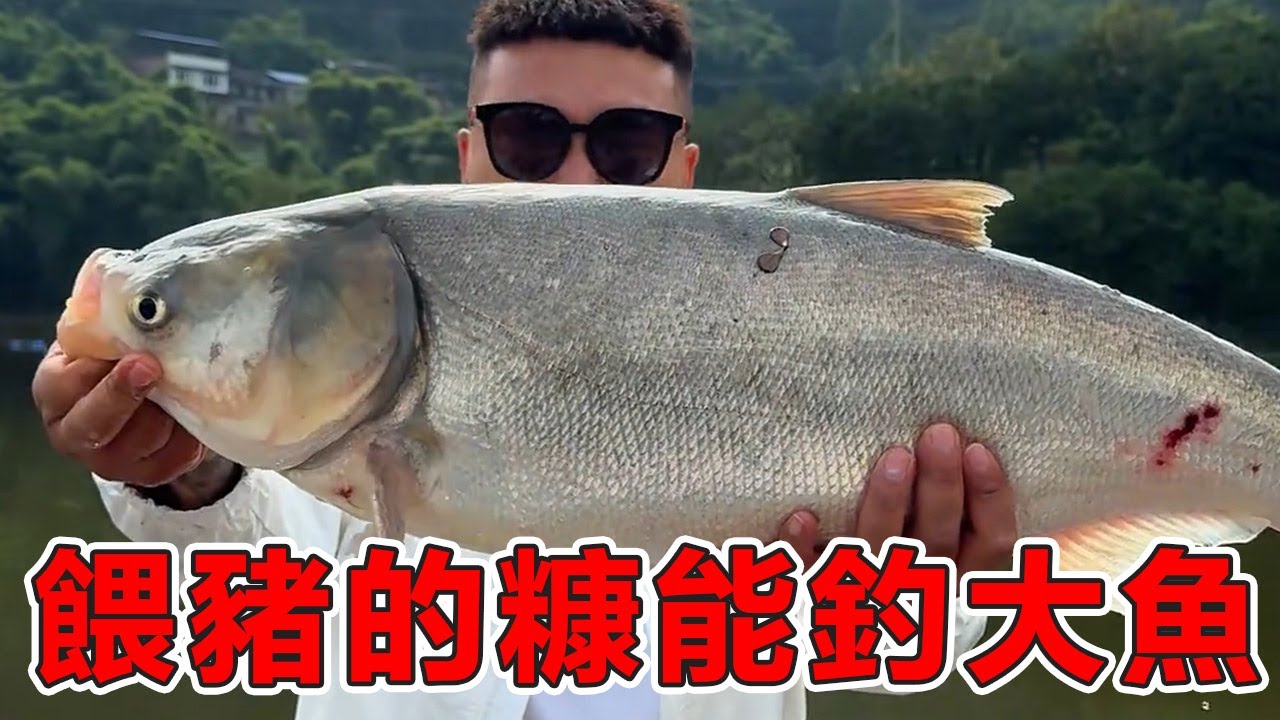 妹妹的穀子釣來了19公斤的大魚#钓鱼 #food #大魚 #fishing #熱門