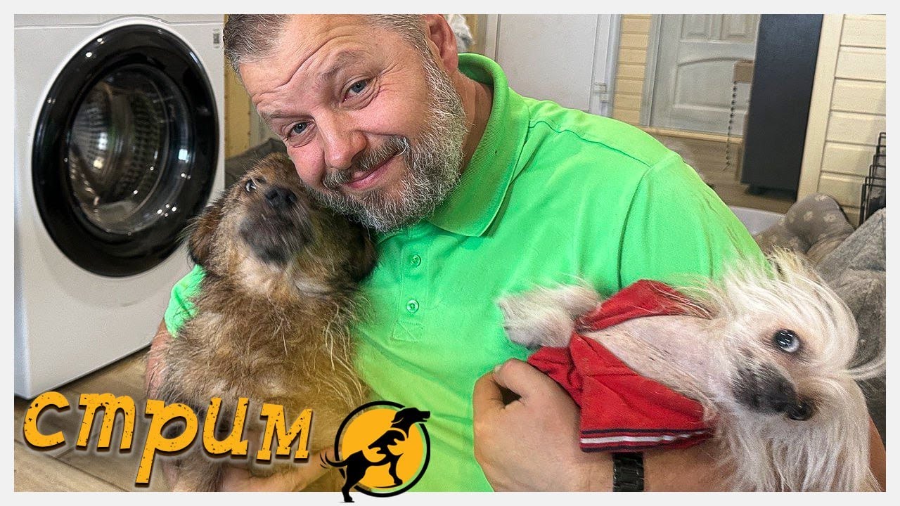 Вечерний стрим, отвечаем на ваши вопросы, делимся новостями 11.10.2025