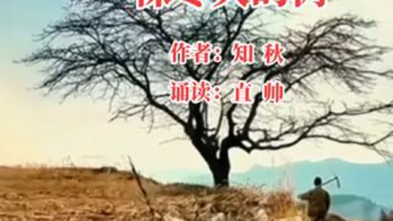 《一棵冬天的树》——作者：知秋，诵读：直帅。暮色深深一棵树，孤寂的站在冬天的傍晚那支瘦了又瘦的歌谣久久萦绕在夕阳掩映的河面上 寒风掠过，你无言以对只是默默地承受来自北国的冰冷和刺骨...