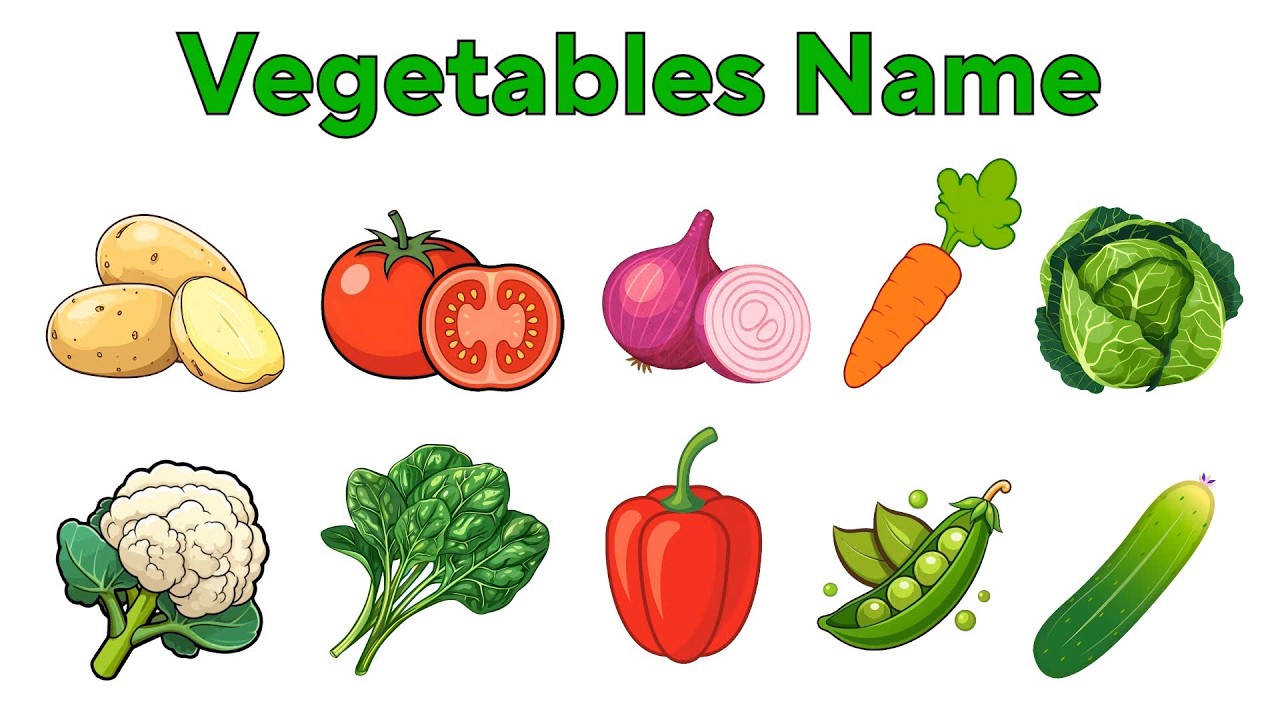 Vegetables Name In English ｜ Toddler Learning Video ｜ Learning Videos for Kids ｜Kids Learning Videos