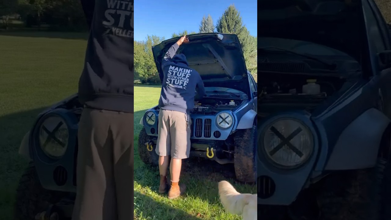 Should we go pull a whole motor for $250? What do you think? 