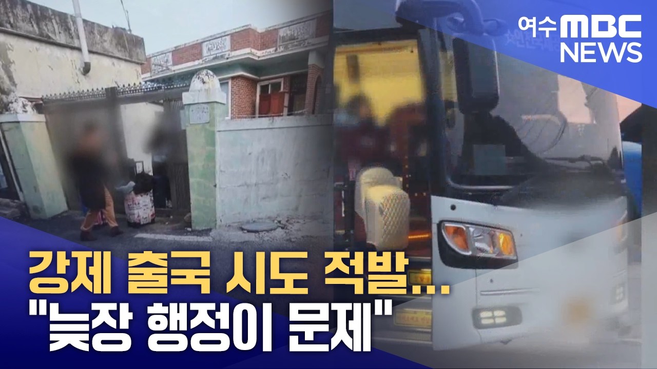 강제 출국 시도 적발...
