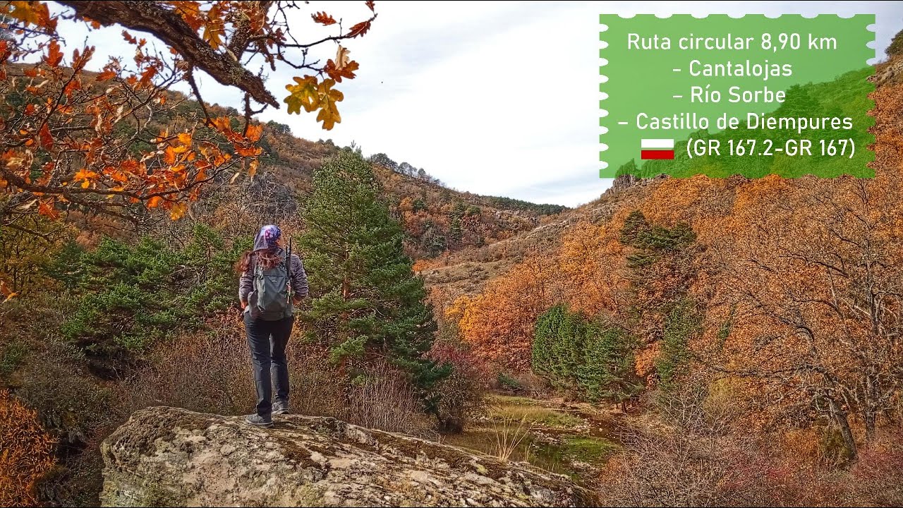 Ruta Circular Cantalojas - Río Sorbe. La senda desconocida cerca del hayedo de Tejera Negra