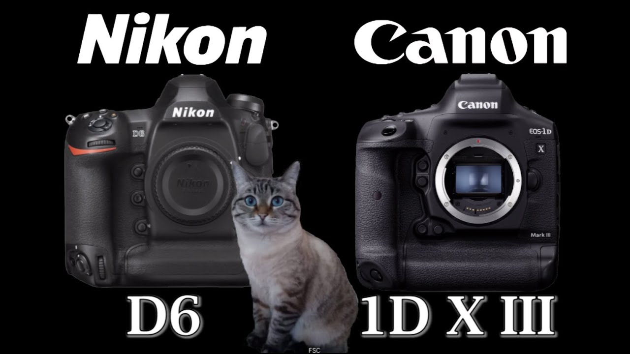 Nikon D6 vs Canon EOS-1D X Mark III