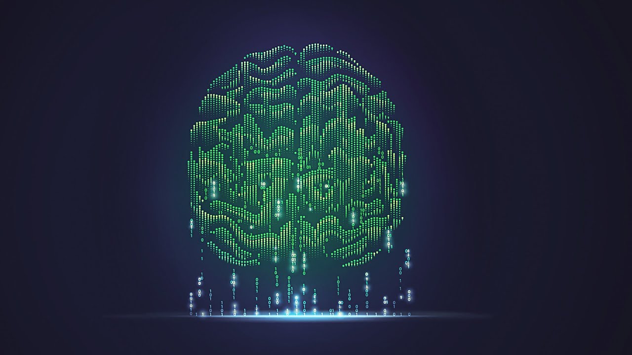 ЦИФРОВАЯ ПРОБЛЕМА МОЗГА | рубрика ВЖУХ | книга The Idea of the Brain